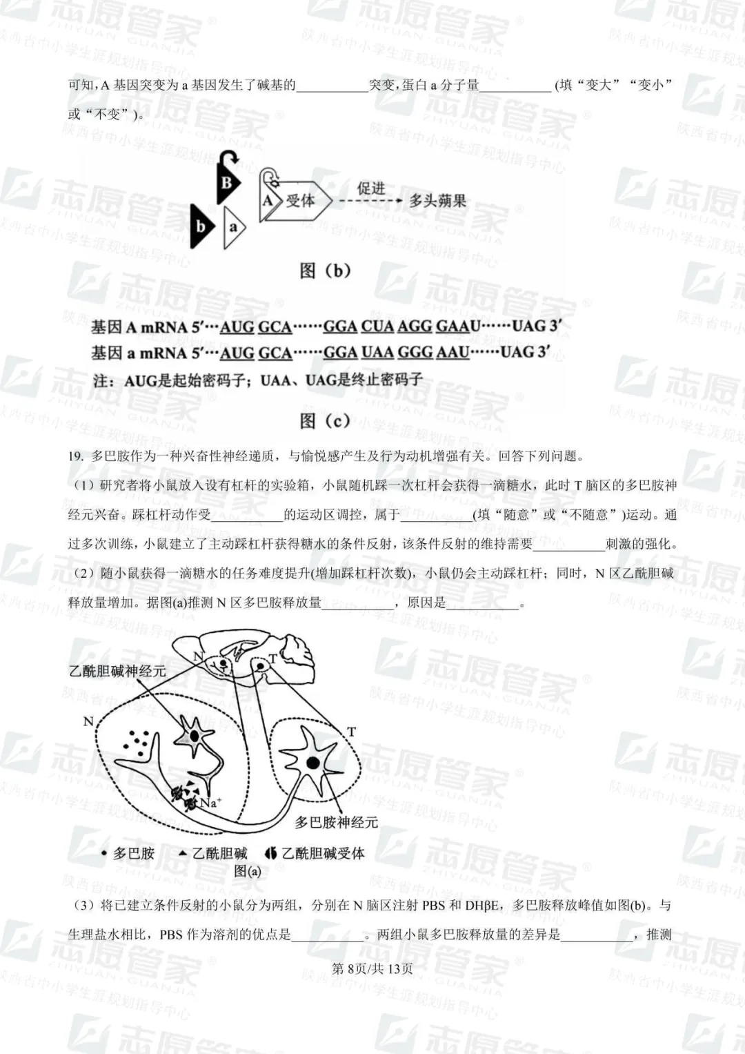 2026全国高考二卷生物试卷+答案【陕西适用】-第12张图片-四季读书网 2026全国高考二卷生物试卷+答案【陕西适用】-第12张图片-四季读书网