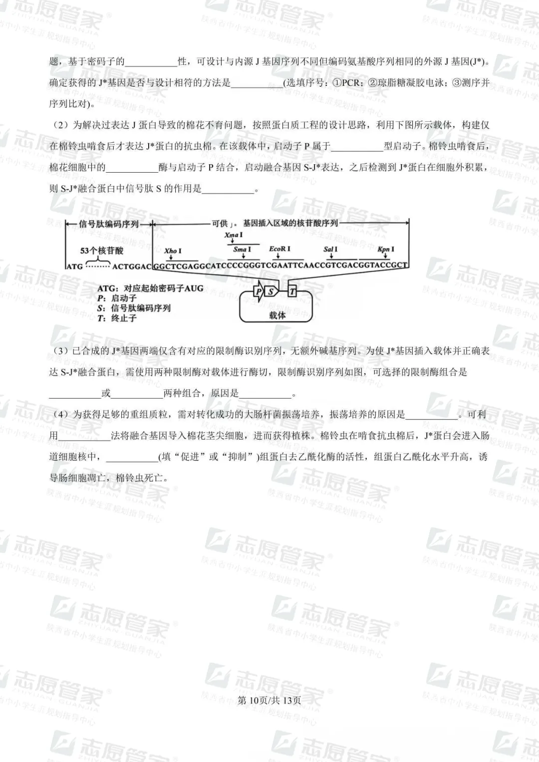 2026全国高考二卷生物试卷+答案【陕西适用】-第14张图片-四季读书网 2026全国高考二卷生物试卷+答案【陕西适用】-第14张图片-四季读书网