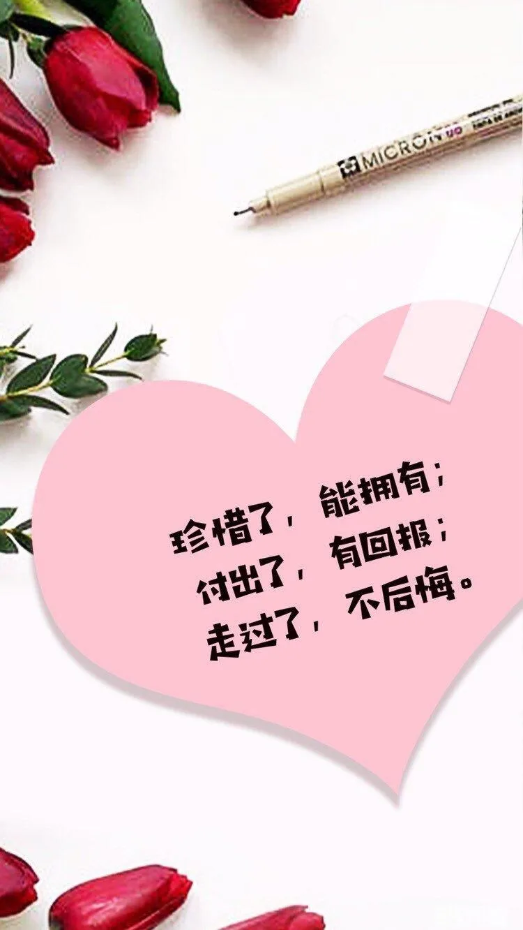 我不后悔(2025年长沙中考语文试卷同名作文秀)-第5张图片-四季读书网