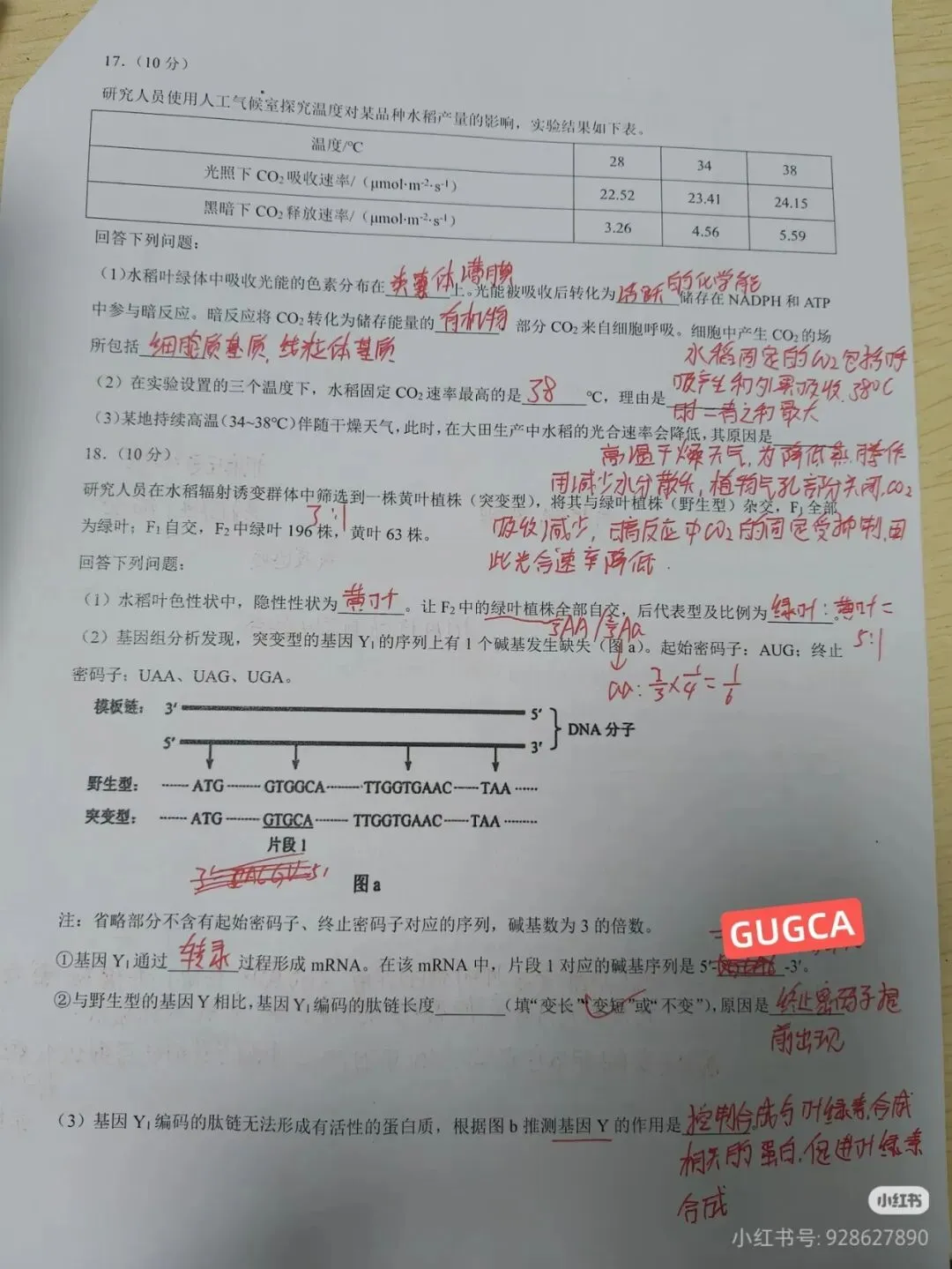 云南2026年高考“生物”试卷及答案参考(更新)!-第4张图片-四季读书网