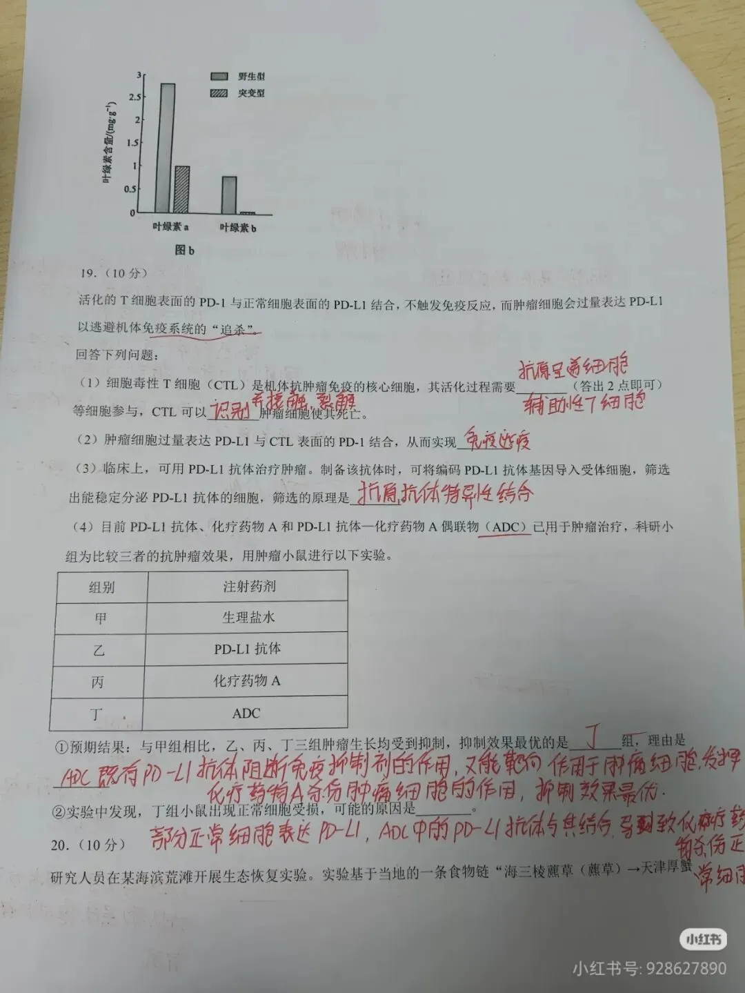 云南2026年高考“生物”试卷及答案参考(更新)!-第5张图片-四季读书网