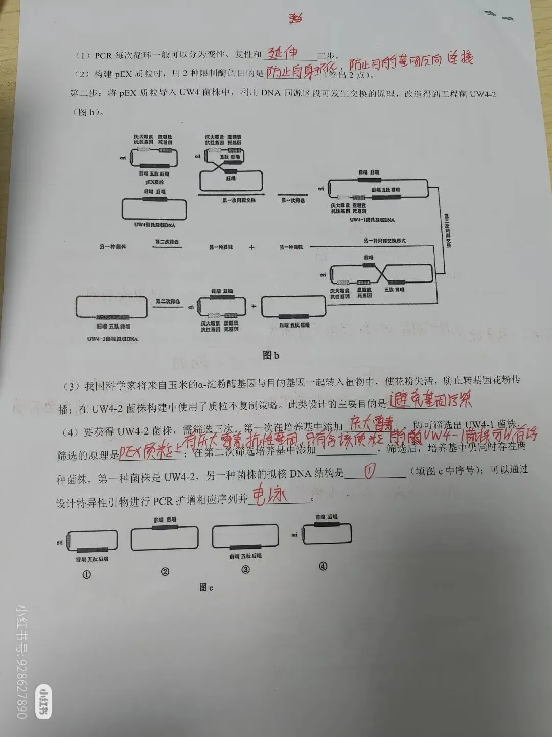云南2026年高考“生物”试卷及答案参考(更新)!-第7张图片-四季读书网