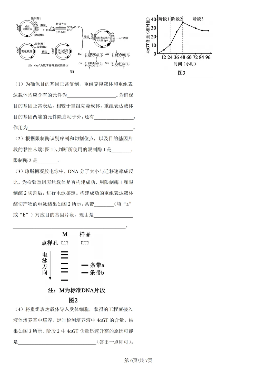 【高考真题】2026年高考河南卷生物高考真题-第6张图片-四季读书网 【高考真题】2026年高考河南卷生物高考真题-第6张图片-四季读书网
