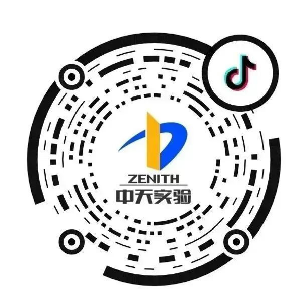 从容迎考,暖心相伴——中考前后家长科学陪伴指南-第17张图片-四季读书网 从容迎考,暖心相伴——中考前后家长科学陪伴指南-第17张图片-四季读书网