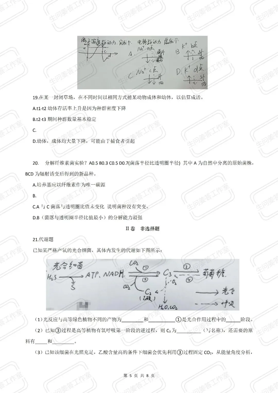【高考真题】2026年山东省普通高考生物试题-第5张图片-四季读书网