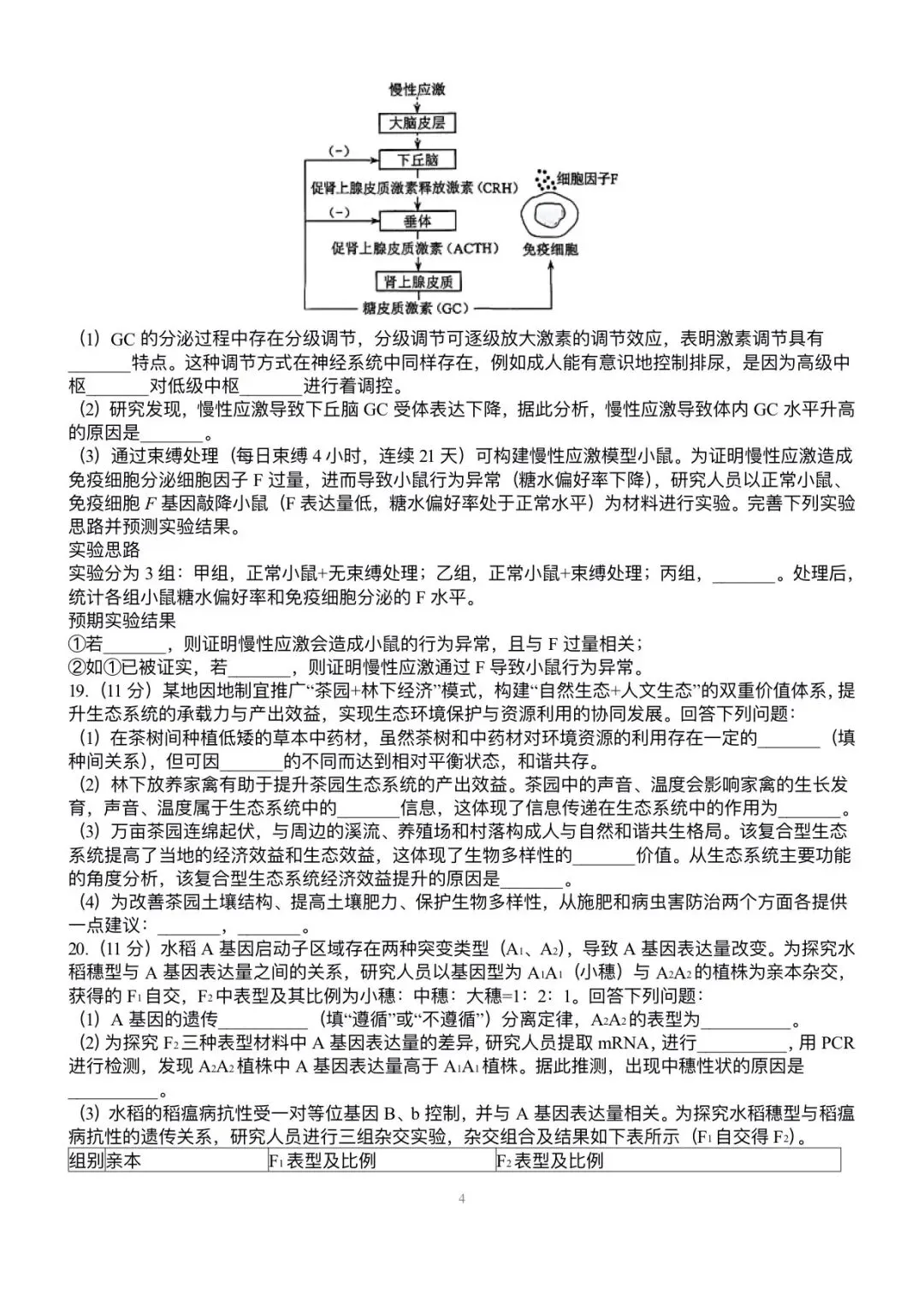 2026年高考真题之河南卷-第4张图片-四季读书网