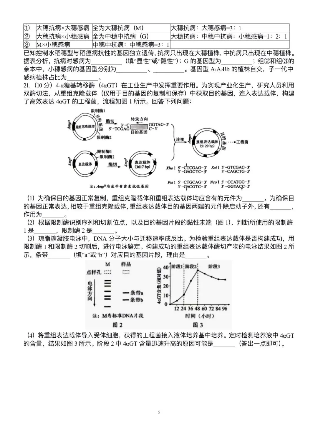 2026年高考真题之河南卷-第5张图片-四季读书网