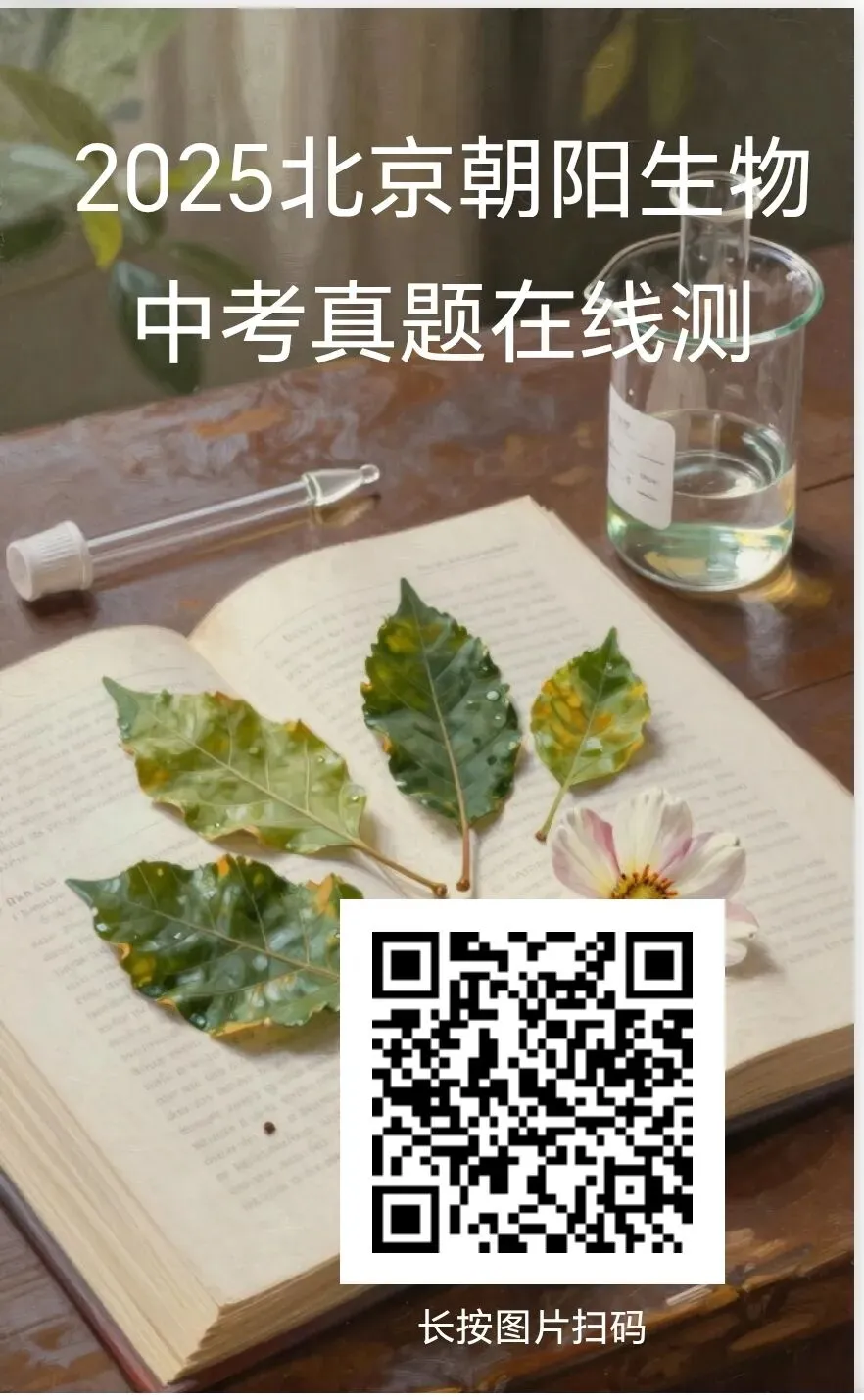 2025年部分省市生物中考真题在线测-第11张图片-四季读书网