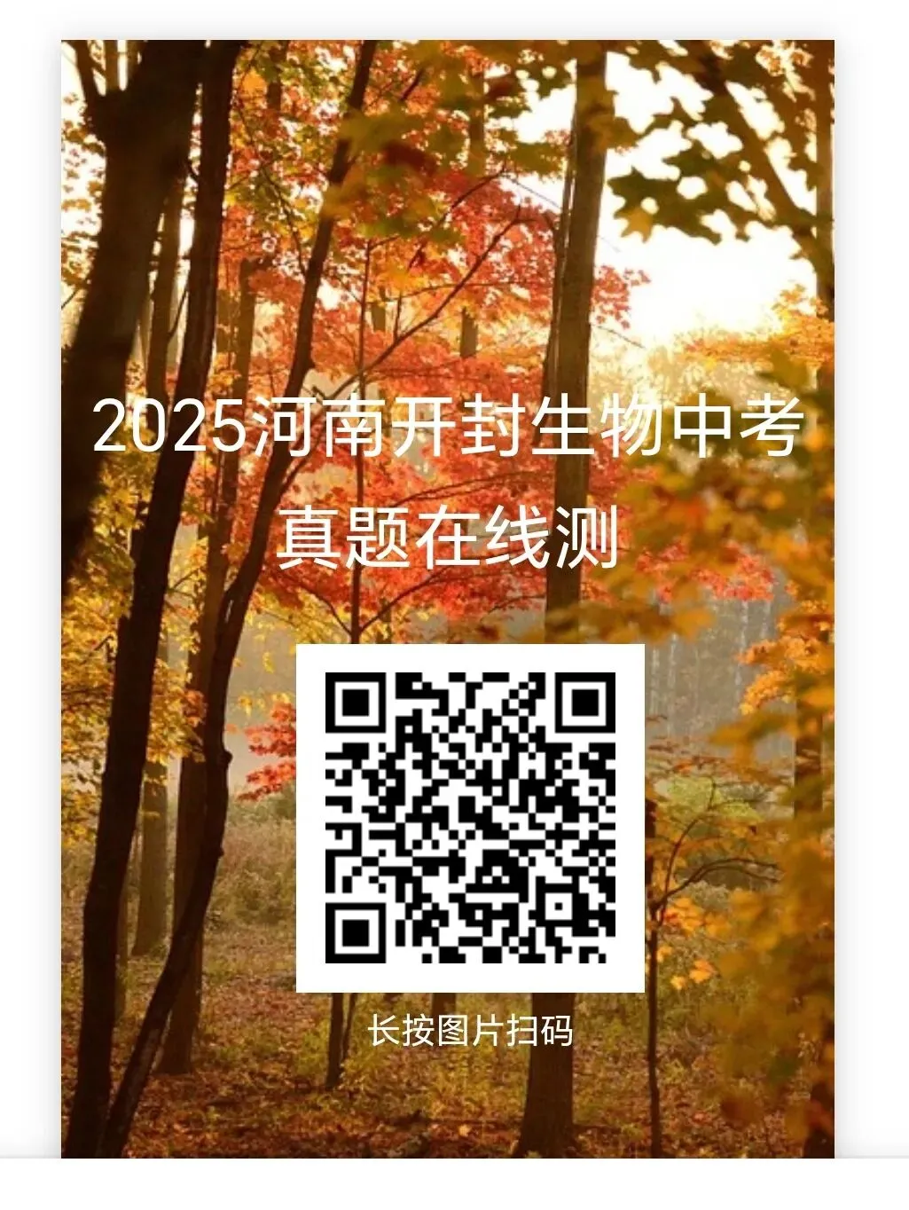 2025年部分省市生物中考真题在线测-第15张图片-四季读书网