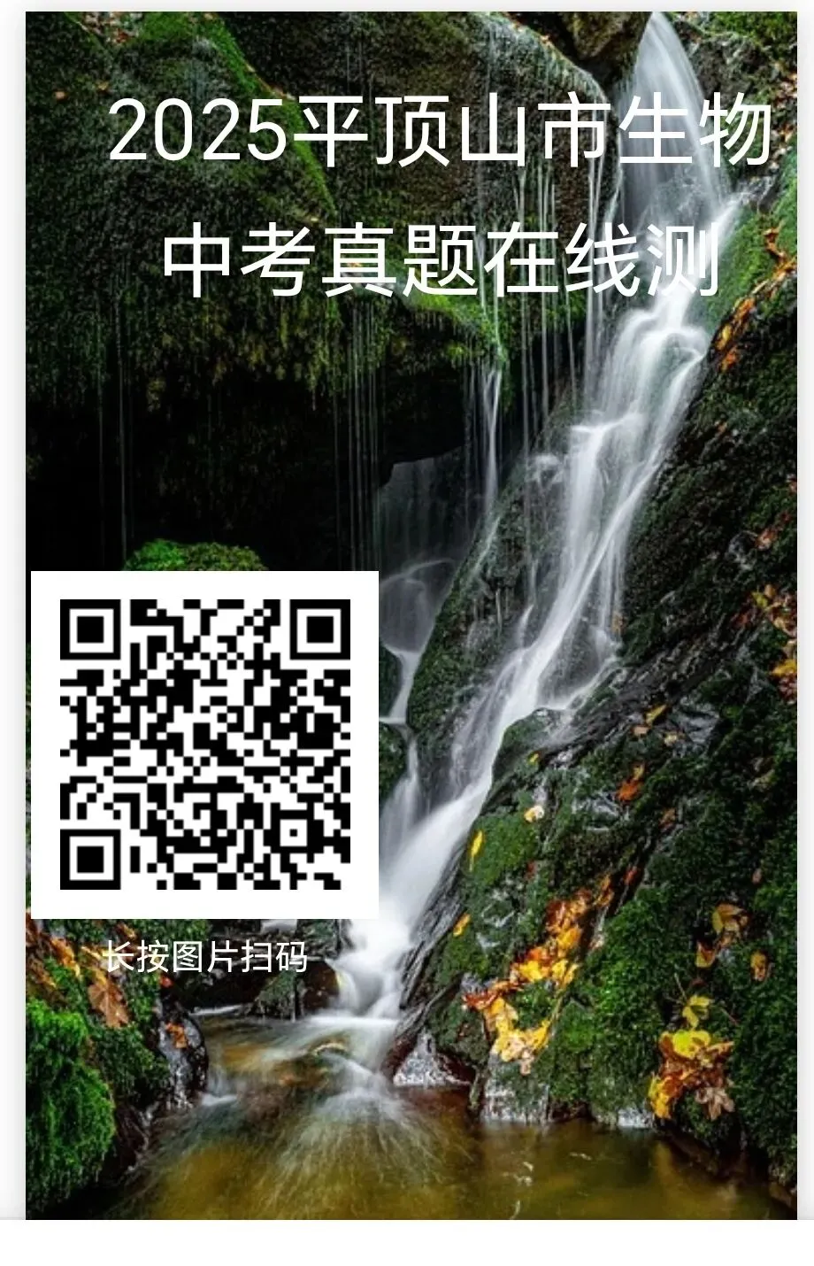 2025年部分省市生物中考真题在线测-第16张图片-四季读书网