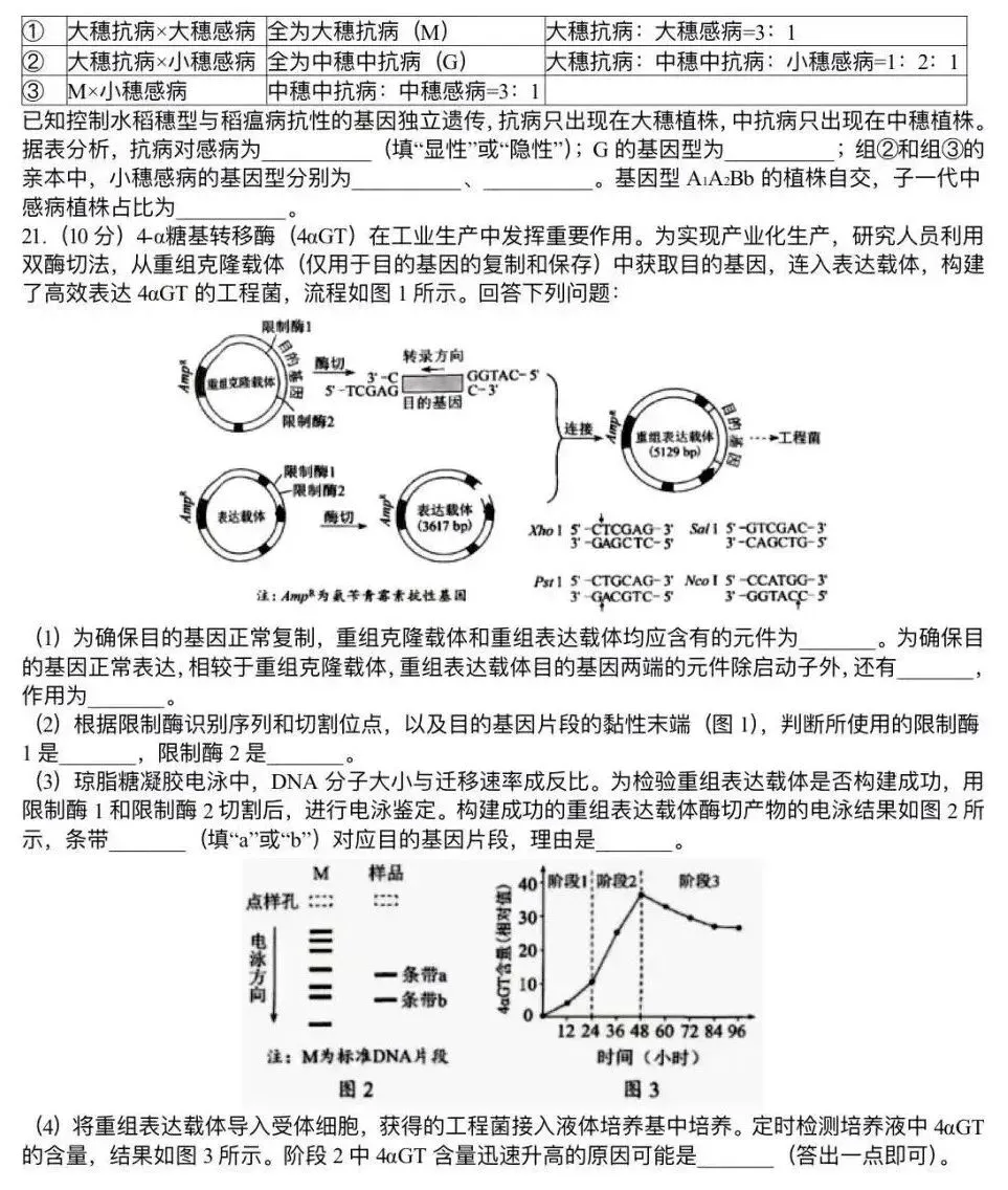 【高考真题】2026年高考生物学试题(河南卷)-第5张图片-四季读书网