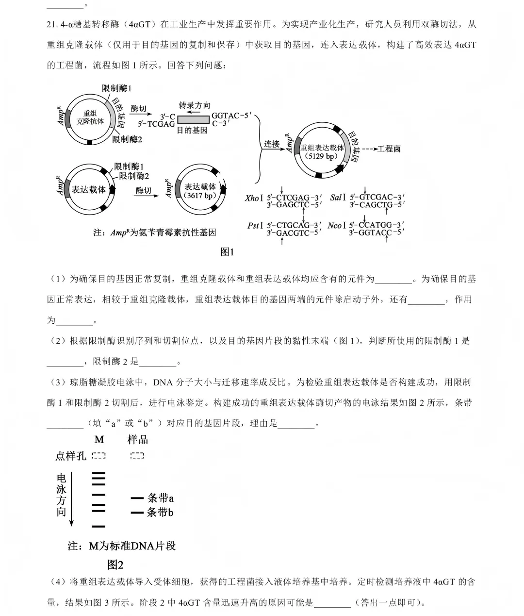 2026高考生物真题|河南卷-第8张图片-四季读书网