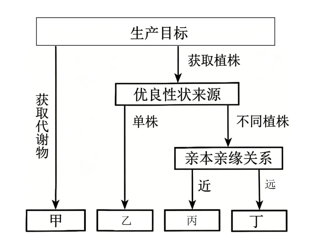 高考真题| 2026年高考生物学试题(河南卷)-第8张图片-四季读书网 高考真题| 2026年高考生物学试题(河南卷)-第8张图片-四季读书网