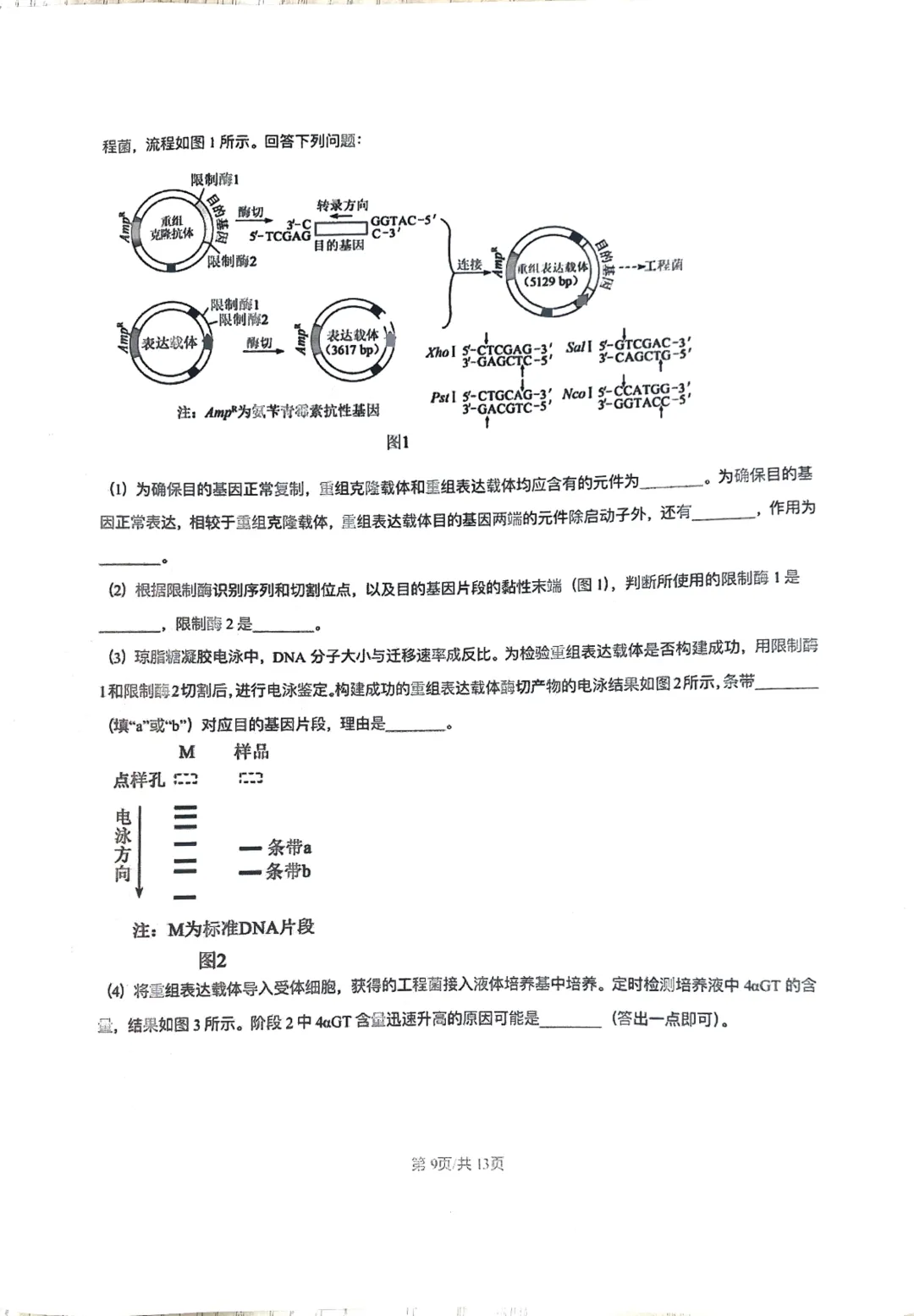 2026年河南高考(化学+生物+历史)试卷和答案-第20张图片-四季读书网