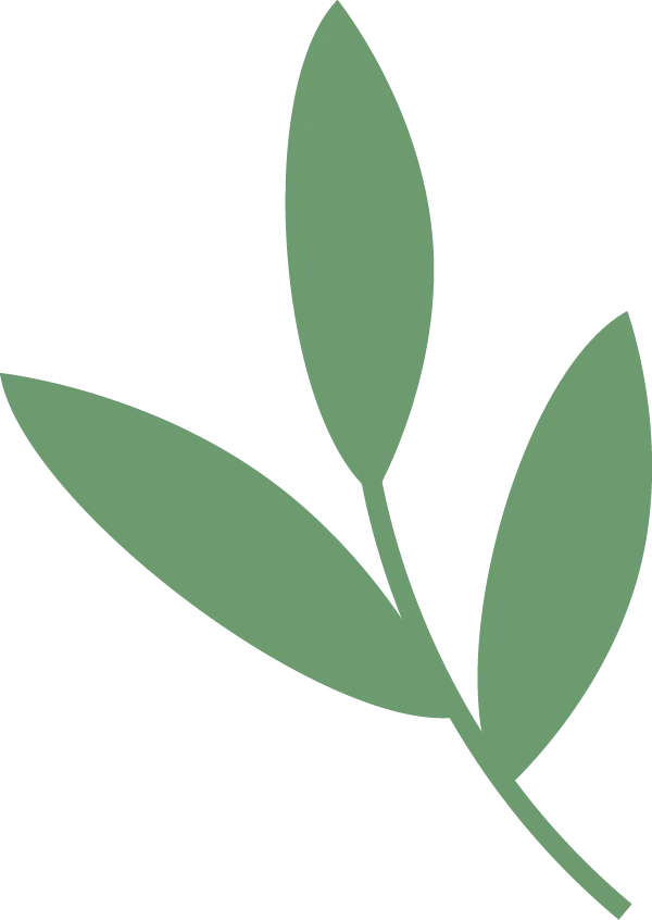 初中数学组开展试卷评讲新模式教研活动-第36张图片-四季读书网