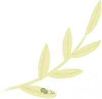 最全答案来了!26年6月英语四级真题及答案完整版-第6张图片-四季读书网 最全答案来了!26年6月英语四级真题及答案完整版-第6张图片-四季读书网