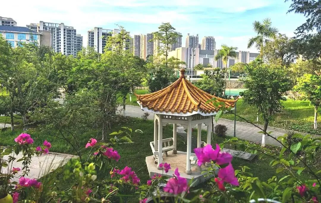 中考加油|我在梧高等你!-第8张图片-四季读书网