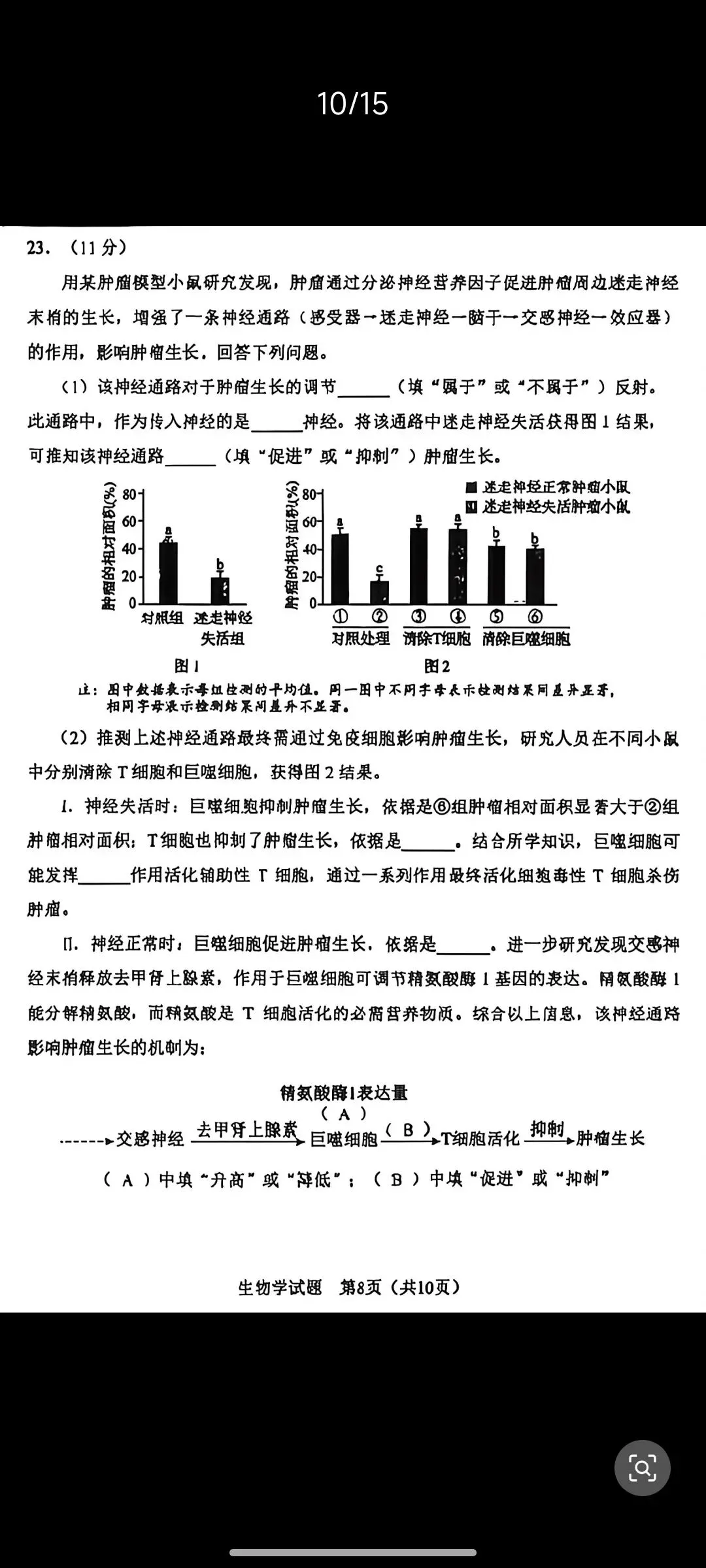 2026新高考生物东北卷黑吉辽蒙卷真题,辽宁吉林黑龙江内蒙古东北四省卷-第8张图片-四季读书网 2026新高考生物东北卷黑吉辽蒙卷真题,辽宁吉林黑龙江内蒙古东北四省卷-第8张图片-四季读书网