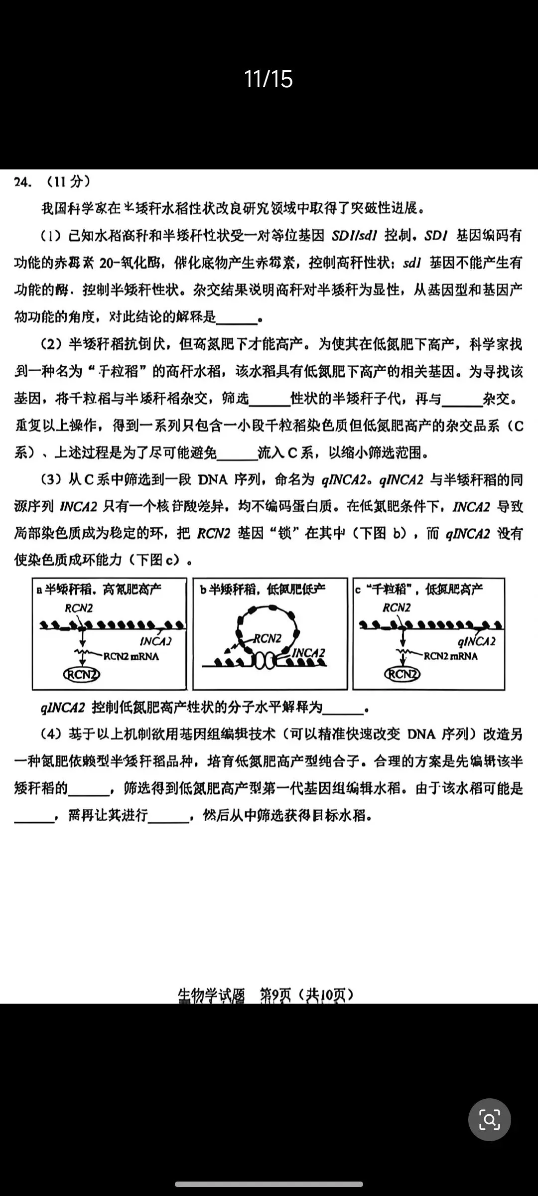 2026新高考生物东北卷黑吉辽蒙卷真题,辽宁吉林黑龙江内蒙古东北四省卷-第9张图片-四季读书网 2026新高考生物东北卷黑吉辽蒙卷真题,辽宁吉林黑龙江内蒙古东北四省卷-第9张图片-四季读书网