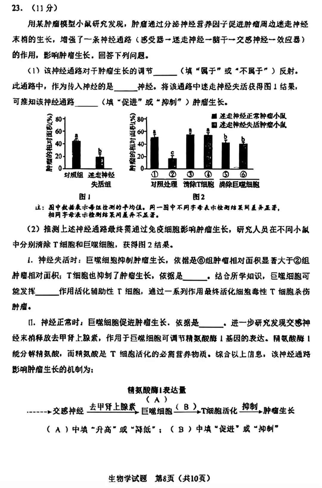 【高考真题】2026年黑吉辽蒙卷(无答案)-第8张图片-四季读书网
