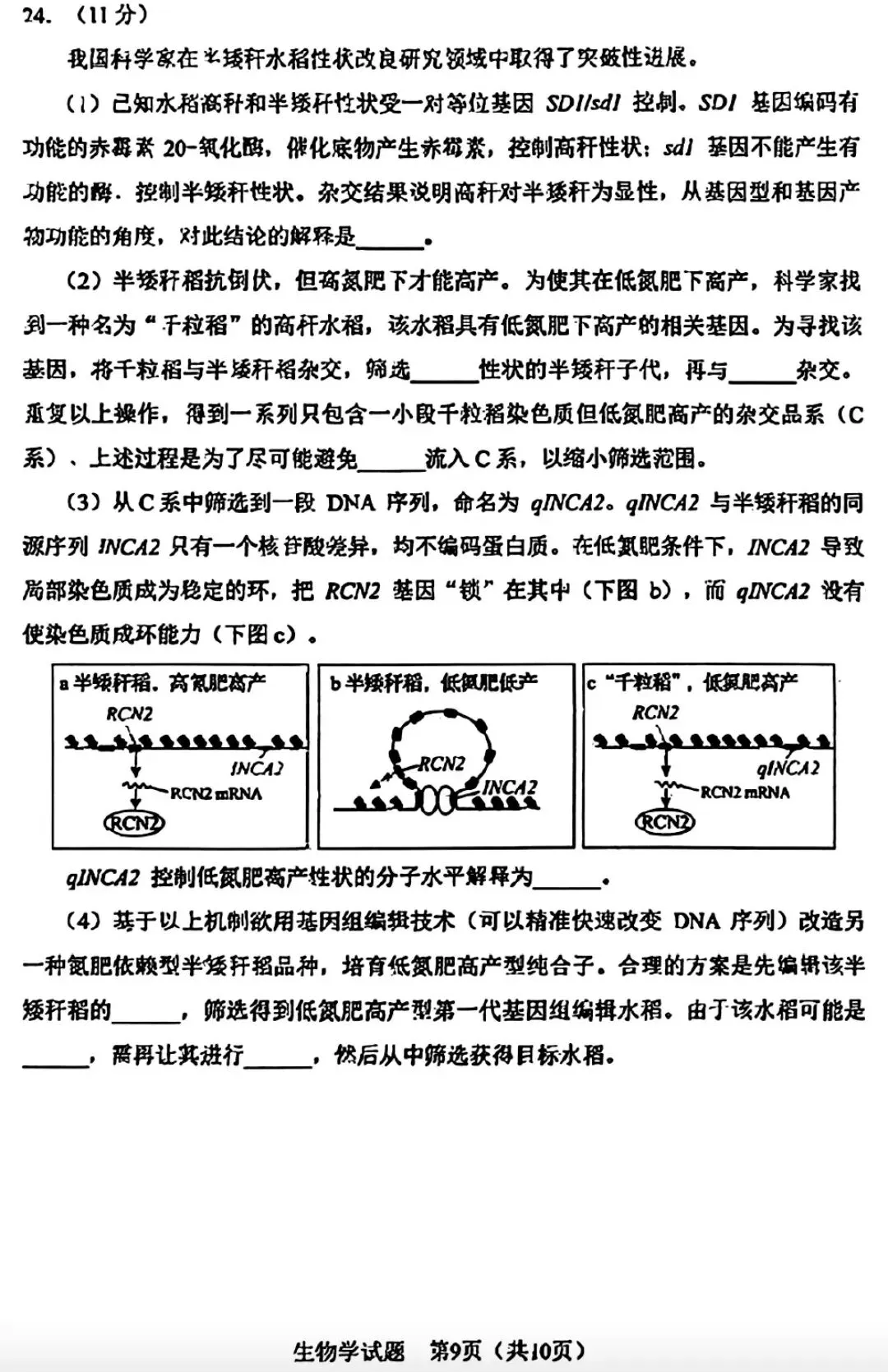 【高考真题】2026年黑吉辽蒙卷(无答案)-第9张图片-四季读书网