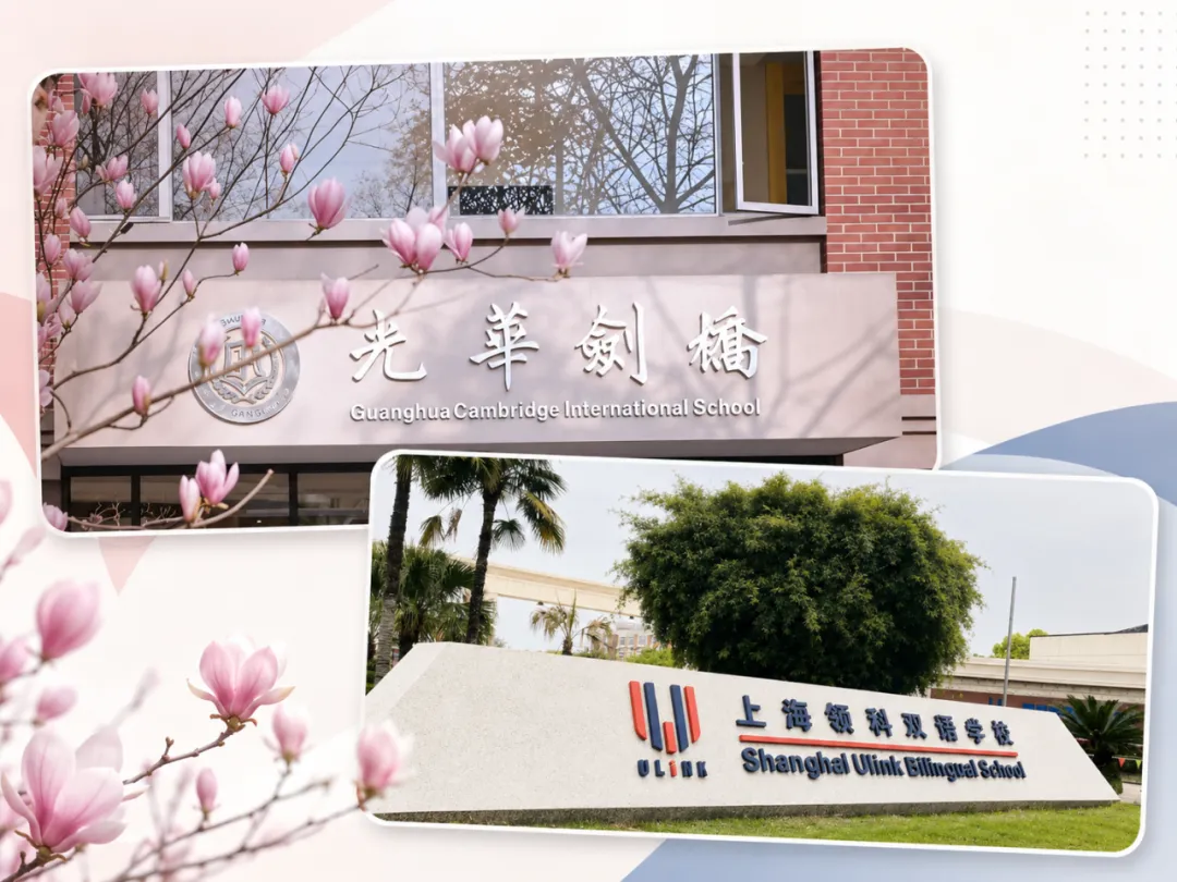 上海2026中考后,转轨国际赛道,这四条路怎么选?-第6张图片-四季读书网 上海2026中考后,转轨国际赛道,这四条路怎么选?-第6张图片-四季读书网