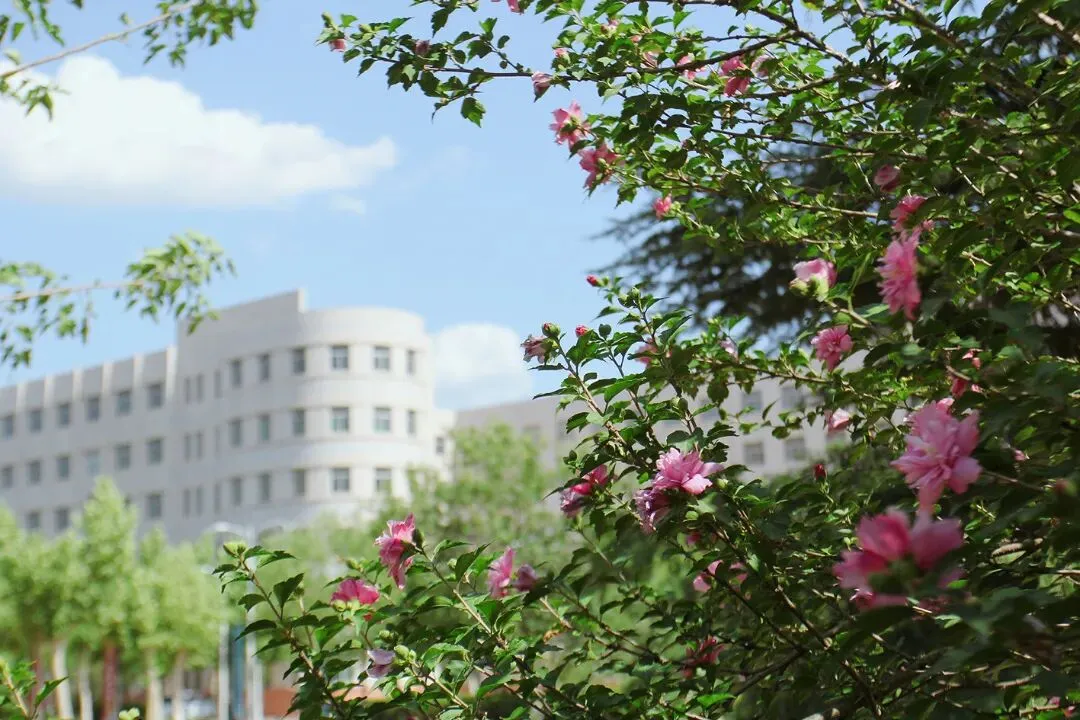 中考卡在普高线、落榜也别怕!山东这条升学路,照样稳稳拿下全日制本科-第4张图片-四季读书网 中考卡在普高线、落榜也别怕!山东这条升学路,照样稳稳拿下全日制本科-第4张图片-四季读书网