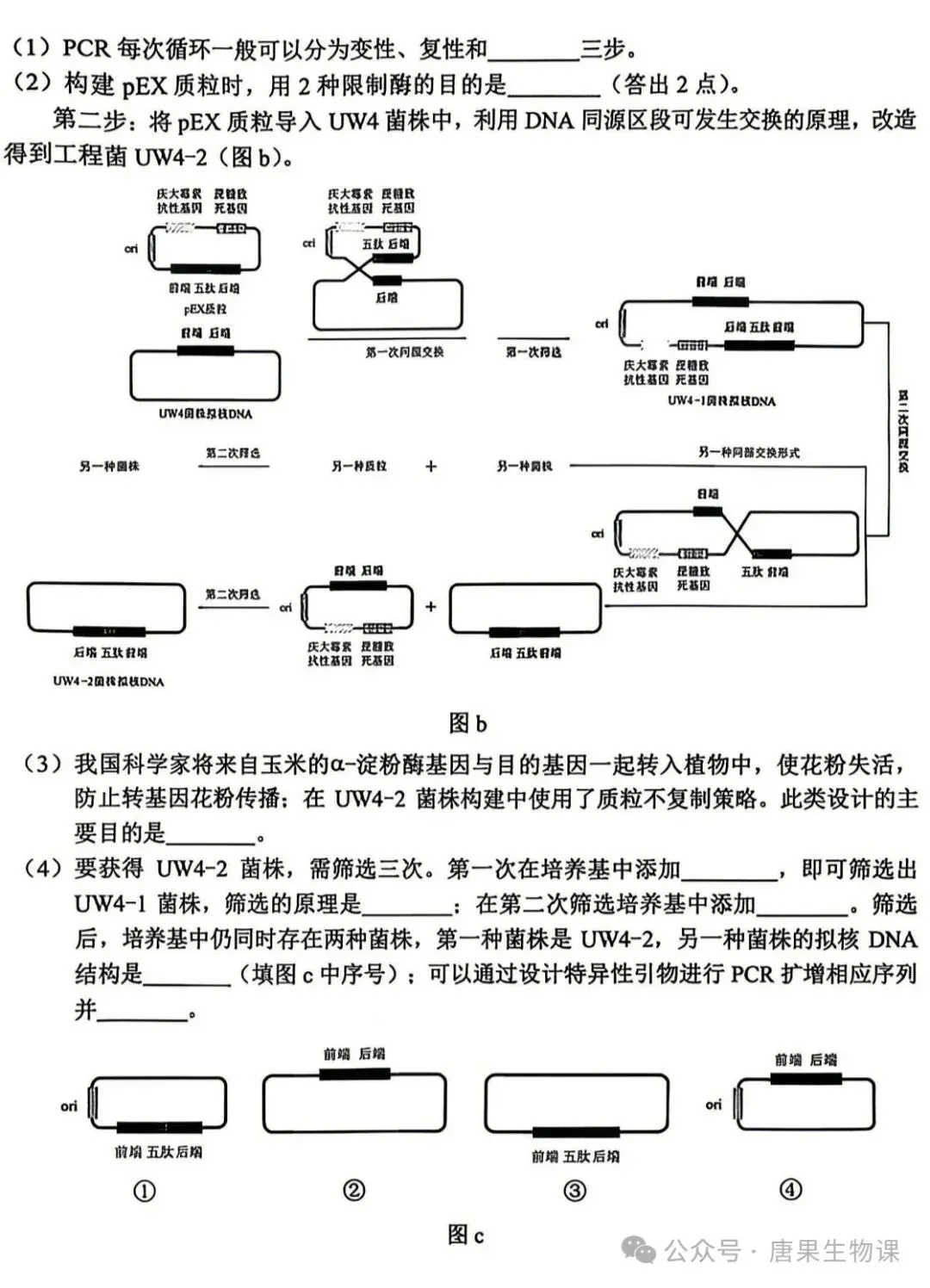 高考真题| 2026年高考生物学试题(云南卷)-第12张图片-四季读书网 高考真题| 2026年高考生物学试题(云南卷)-第12张图片-四季读书网