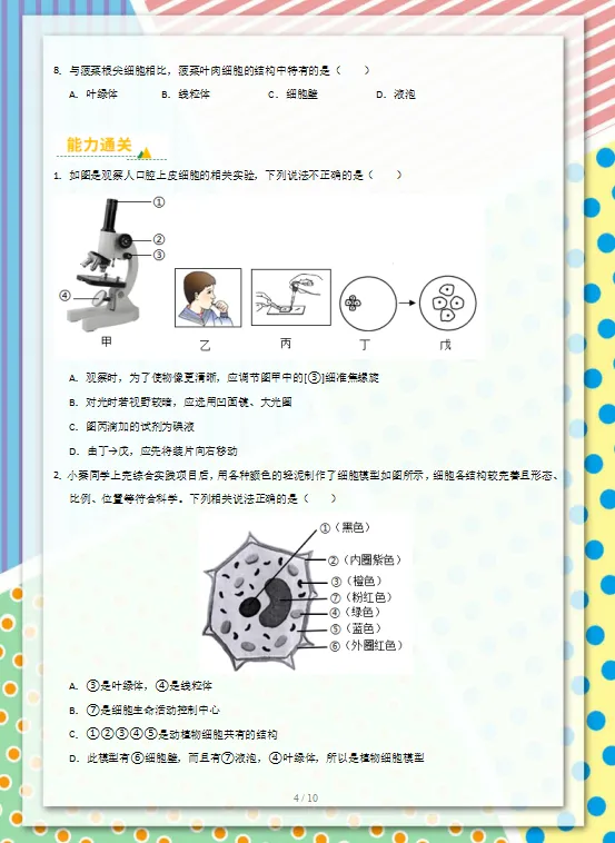 2026中考(会考)生物专项训练,孩子冲刺高分必练,建议打印一份,考试不下90分!-第6张图片-四季读书网