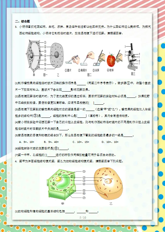 2026中考(会考)生物专项训练,孩子冲刺高分必练,建议打印一份,考试不下90分!-第7张图片-四季读书网
