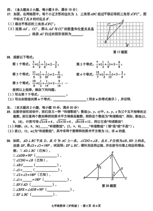 2026皖智试卷七年级沪科版数学期末卷-第3张图片-四季读书网