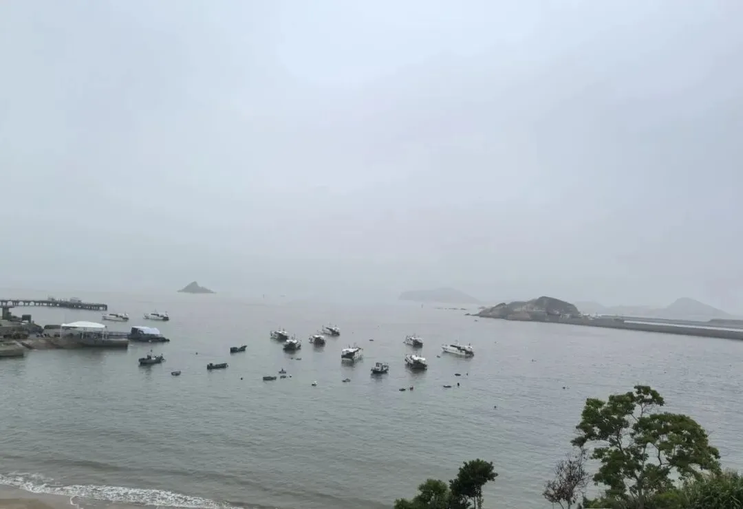 浙江一县取消中考普职分流,众多家长羡慕嫉妒恨,你会举家迁嵊泗吗?-第2张图片-四季读书网 浙江一县取消中考普职分流,众多家长羡慕嫉妒恨,你会举家迁嵊泗吗?-第2张图片-四季读书网