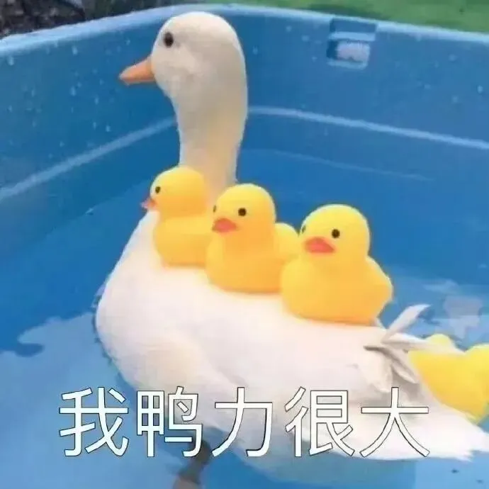 【精诚皋医】明天中考!这份健康备考须知请收好-第16张图片-四季读书网