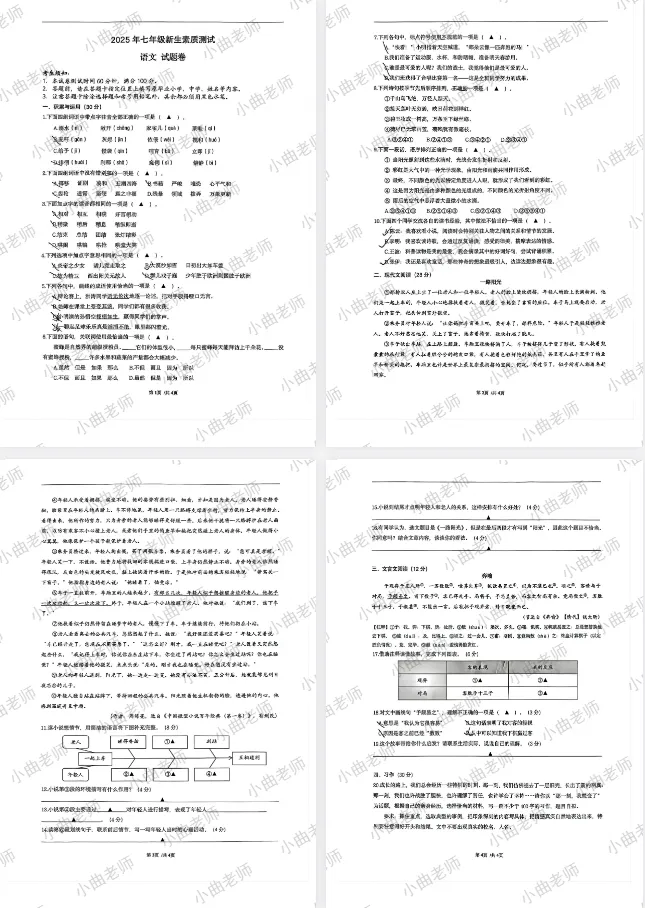 精选小升初分班考真题试卷,免费大放送-第5张图片-四季读书网