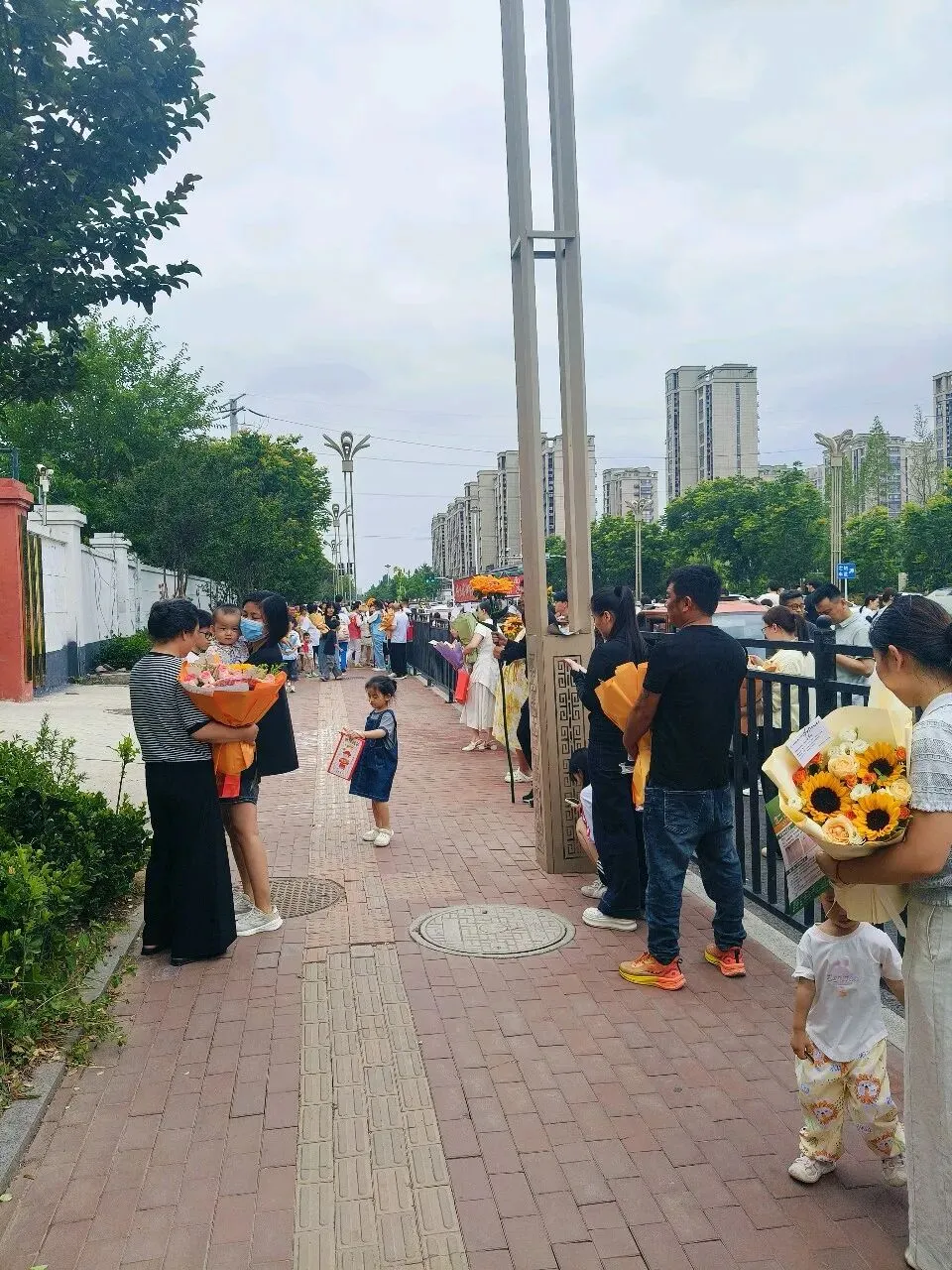 中考后的安排-第2张图片-四季读书网 中考后的安排-第2张图片-四季读书网