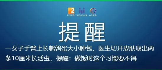 明天中考!考生及2名陪同家属可免费乘坐昆明地铁-第8张图片-四季读书网