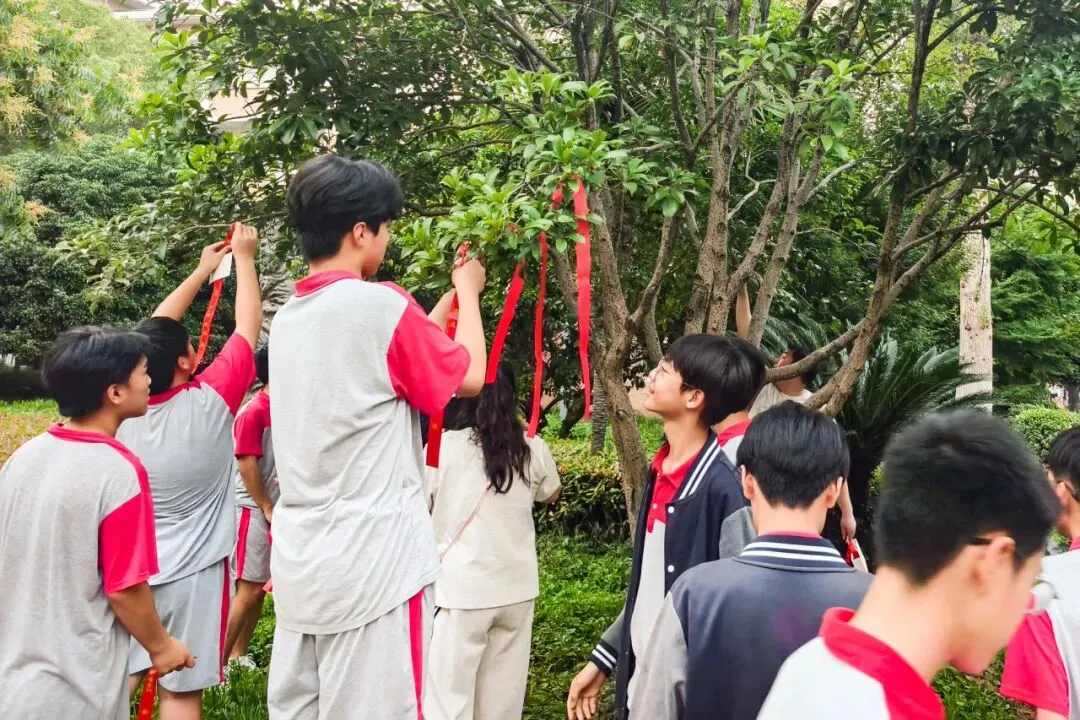 解码焦虑,迎战中考|宏达学校开展九年级中考前心态调适活动-第10张图片-四季读书网