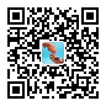 中考低于256分?公办技师学院0学费,还有两条路可选(附毕业证)-第3张图片-四季读书网 中考低于256分?公办技师学院0学费,还有两条路可选(附毕业证)-第3张图片-四季读书网