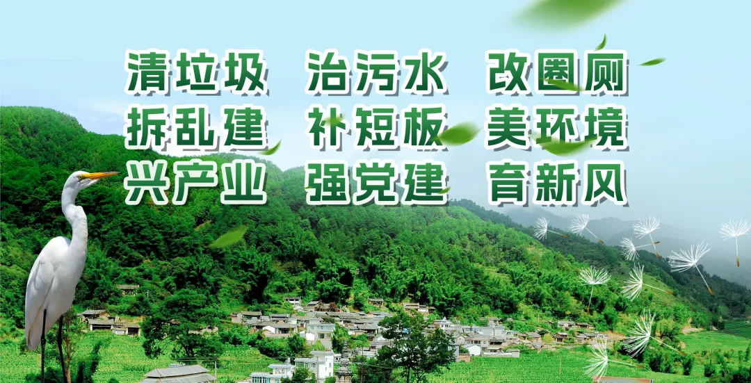 2026年中考期间噪声管控通告-第4张图片-四季读书网 2026年中考期间噪声管控通告-第4张图片-四季读书网