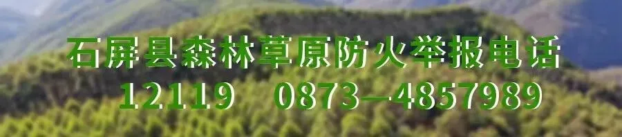 邱毅调研石屏县中考备考及教育教学工作-第6张图片-四季读书网 邱毅调研石屏县中考备考及教育教学工作-第6张图片-四季读书网
