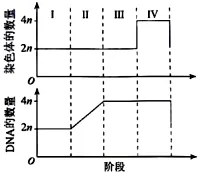 【真题速递】2026河南高考生物学真题+答案(可下载)-第2张图片-四季读书网 【真题速递】2026河南高考生物学真题+答案(可下载)-第2张图片-四季读书网