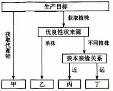 【真题速递】2026河南高考生物学真题+答案(可下载)-第4张图片-四季读书网 【真题速递】2026河南高考生物学真题+答案(可下载)-第4张图片-四季读书网