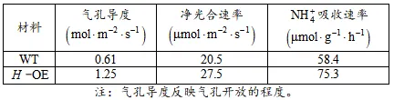 【真题速递】2026河南高考生物学真题+答案(可下载)-第5张图片-四季读书网 【真题速递】2026河南高考生物学真题+答案(可下载)-第5张图片-四季读书网