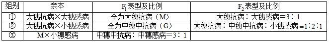 【真题速递】2026河南高考生物学真题+答案(可下载)-第7张图片-四季读书网 【真题速递】2026河南高考生物学真题+答案(可下载)-第7张图片-四季读书网