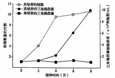 【真题速递】2026黑龙江、吉林、辽宁、内蒙古高考生物真题及参考答案(试题评析)-第5张图片-四季读书网 【真题速递】2026黑龙江、吉林、辽宁、内蒙古高考生物真题及参考答案(试题评析)-第5张图片-四季读书网