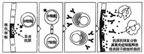 【真题速递】2026黑龙江、吉林、辽宁、内蒙古高考生物真题及参考答案(试题评析)-第6张图片-四季读书网 【真题速递】2026黑龙江、吉林、辽宁、内蒙古高考生物真题及参考答案(试题评析)-第6张图片-四季读书网