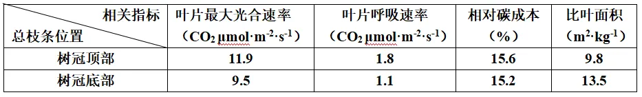 【真题速递】2026黑龙江、吉林、辽宁、内蒙古高考生物真题及参考答案(试题评析)-第8张图片-四季读书网 【真题速递】2026黑龙江、吉林、辽宁、内蒙古高考生物真题及参考答案(试题评析)-第8张图片-四季读书网