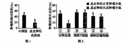 【真题速递】2026黑龙江、吉林、辽宁、内蒙古高考生物真题及参考答案(试题评析)-第11张图片-四季读书网 【真题速递】2026黑龙江、吉林、辽宁、内蒙古高考生物真题及参考答案(试题评析)-第11张图片-四季读书网