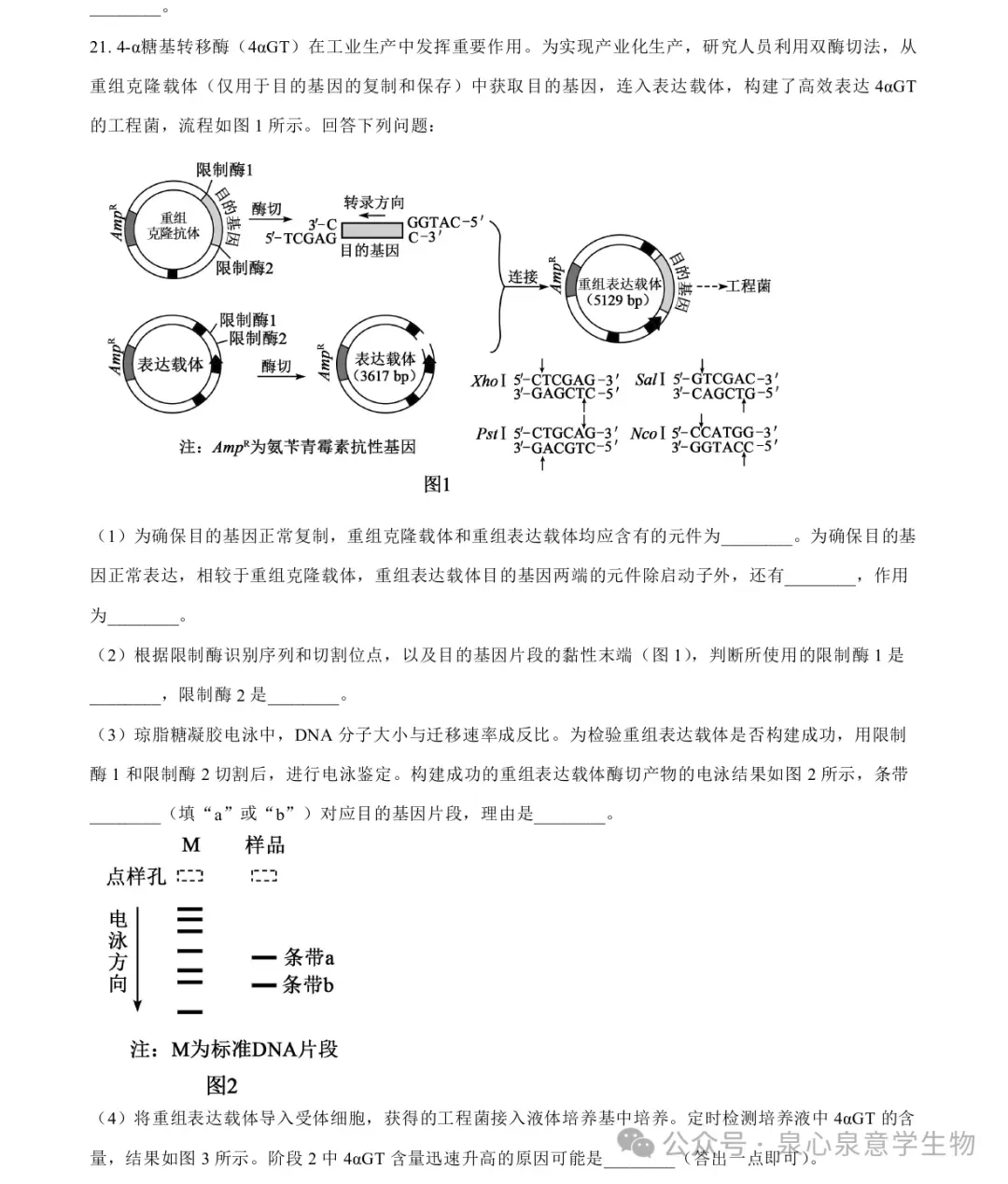 2026高考生物学真题(河南卷)-第9张图片-四季读书网