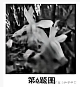 2026年重庆中考真题试题+答案解析(生物)| PDF高清下载版-第1张图片-四季读书网